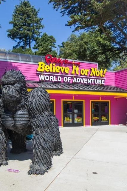 Ripley's Believe It or Not